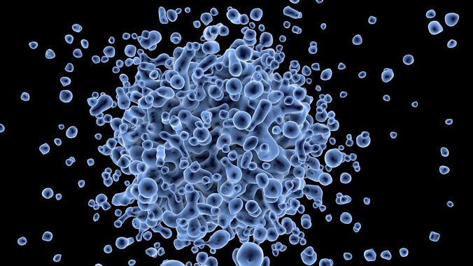 Transgène : l’immunothérapie contre les cancers